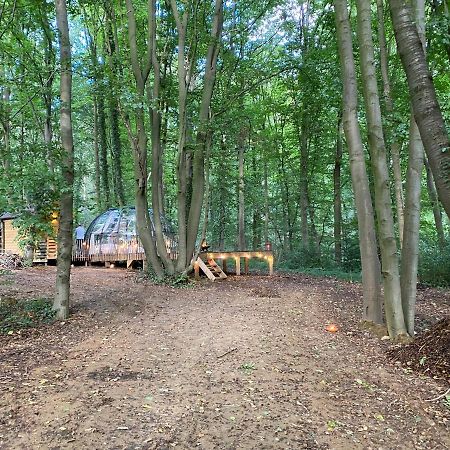 Le Dome De Namur - Une Nuit Insolite Dans Les Bois Esterno foto
