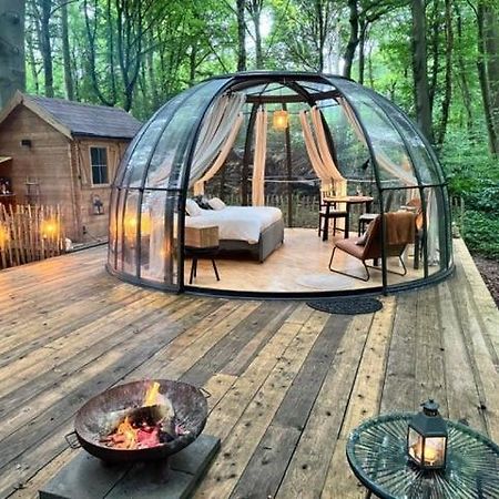 Le Dome De Namur - Une Nuit Insolite Dans Les Bois Esterno foto