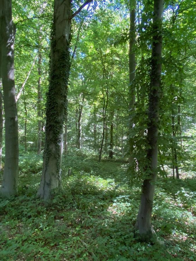 Le Dome De Namur - Une Nuit Insolite Dans Les Bois Esterno foto
