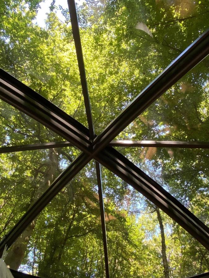 Le Dome De Namur - Une Nuit Insolite Dans Les Bois Esterno foto