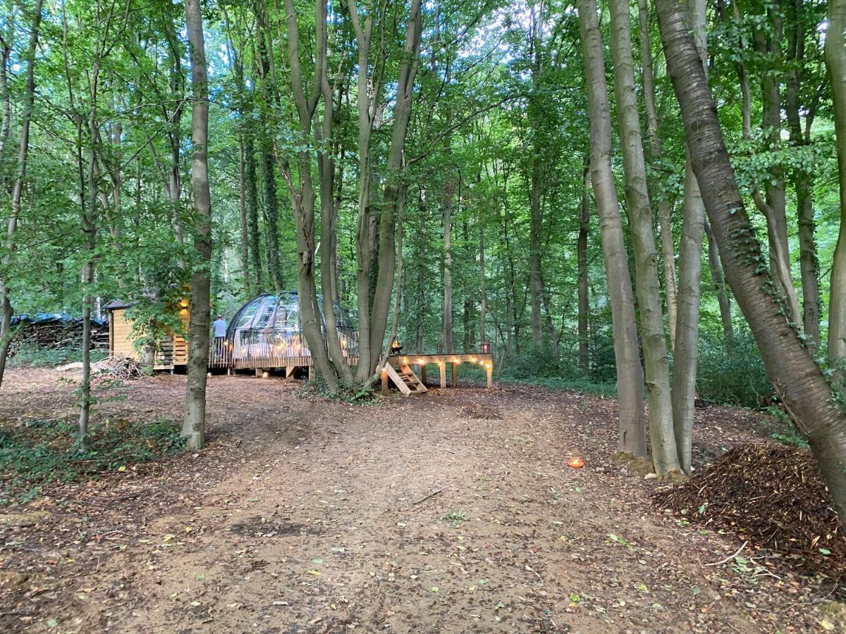 Le Dome De Namur - Une Nuit Insolite Dans Les Bois Esterno foto