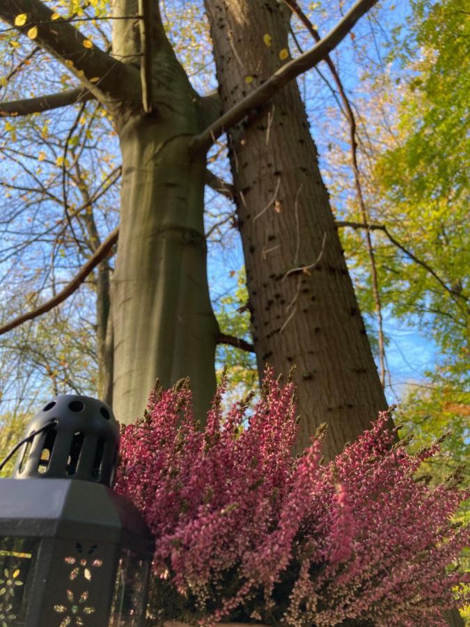 Le Dome De Namur - Une Nuit Insolite Dans Les Bois Esterno foto