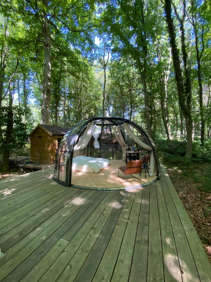 Le Dome De Namur - Une Nuit Insolite Dans Les Bois Esterno foto