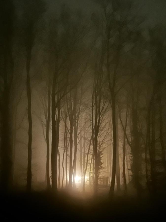 Le Dome De Namur - Une Nuit Insolite Dans Les Bois Esterno foto