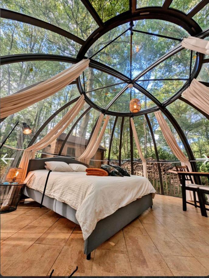 Le Dome De Namur - Une Nuit Insolite Dans Les Bois Esterno foto