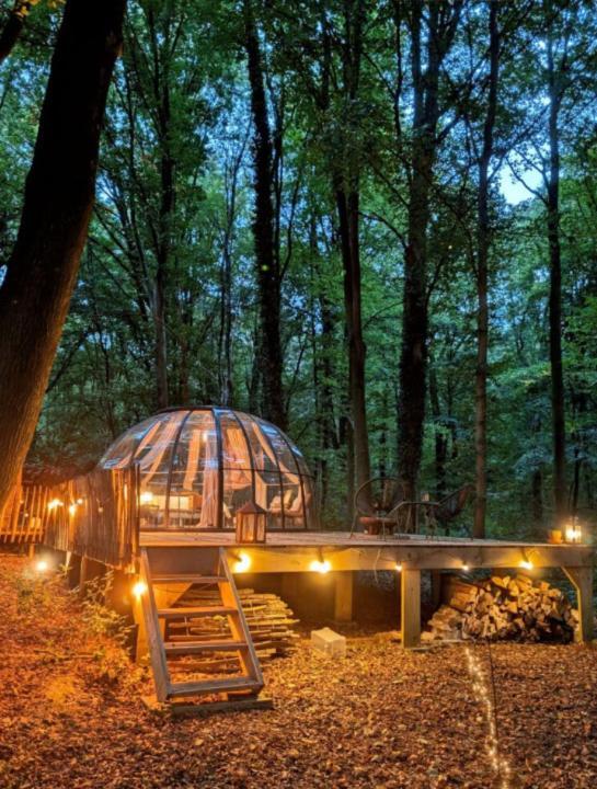 Le Dome De Namur - Une Nuit Insolite Dans Les Bois Esterno foto