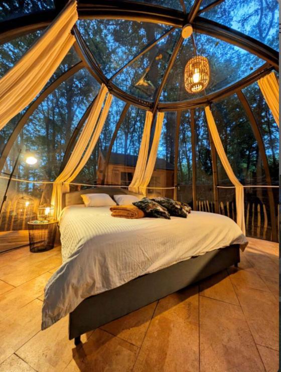 Le Dome De Namur - Une Nuit Insolite Dans Les Bois Esterno foto